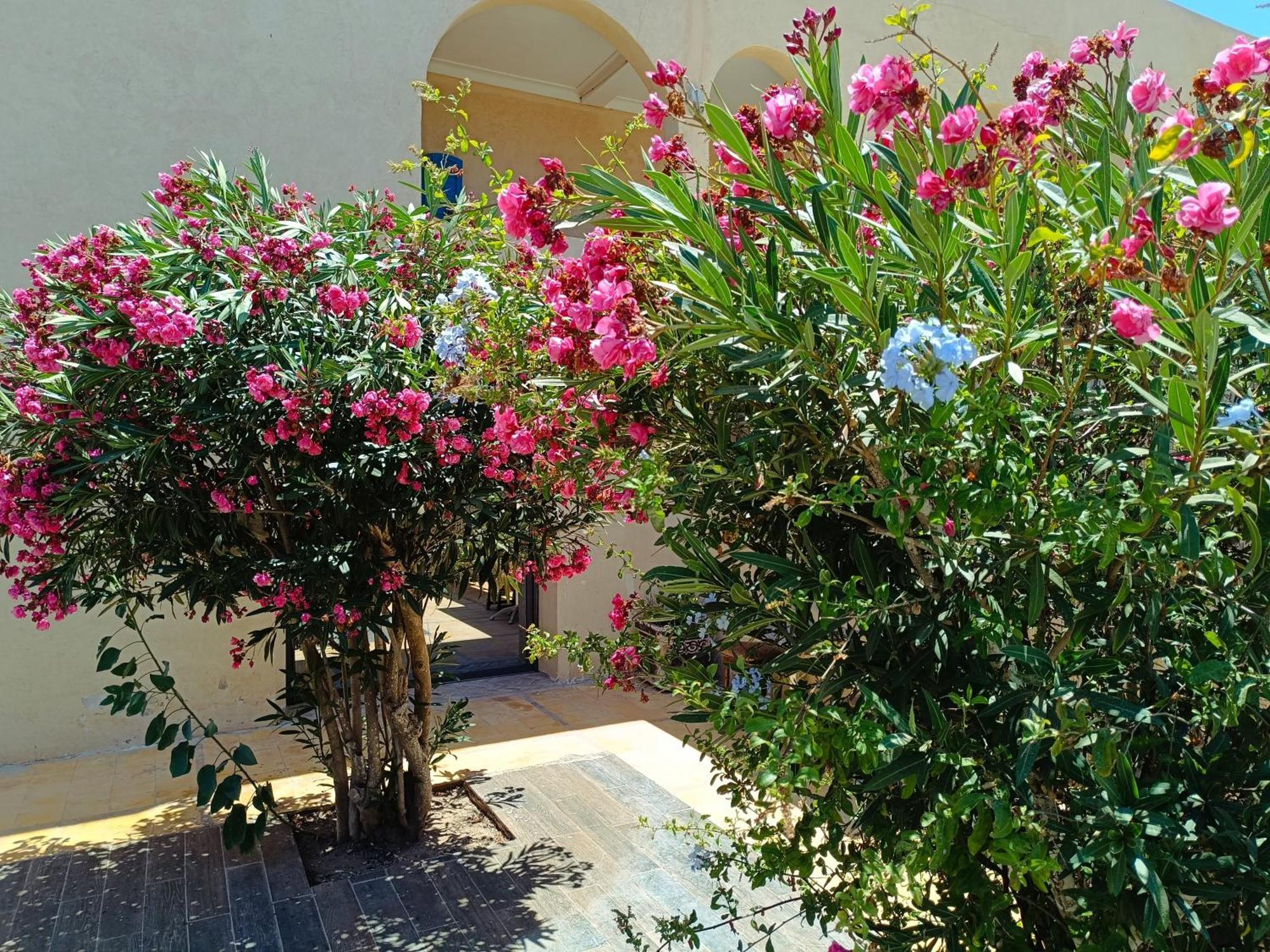 L'Abri Cotier De Dar Nezza Apartment Sidi Kaouki Luaran gambar