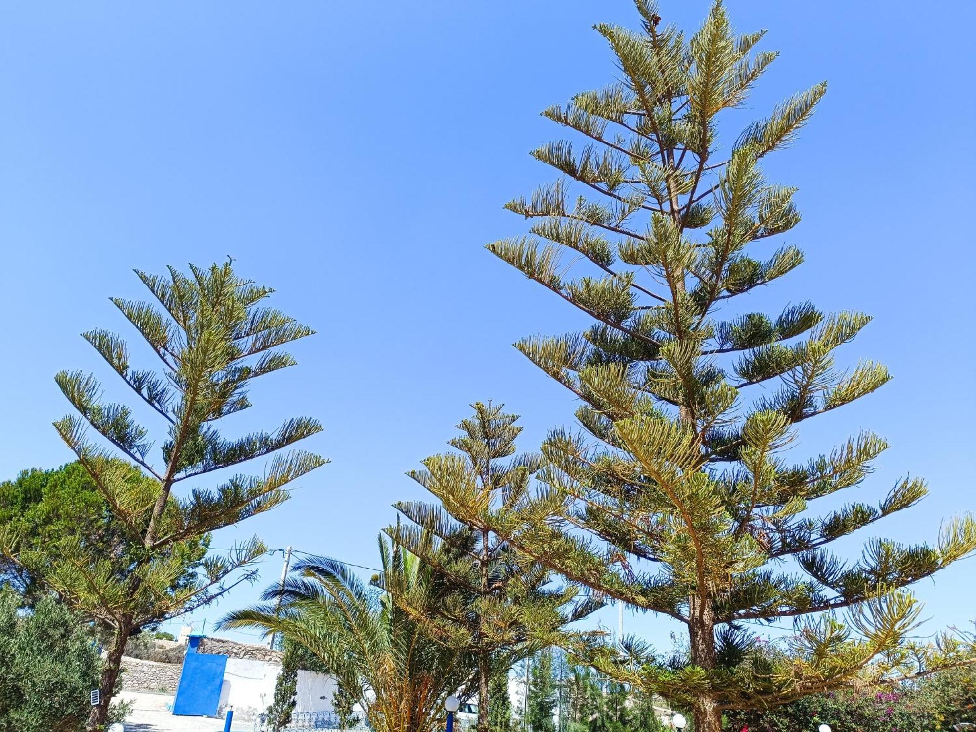 L'Abri Cotier De Dar Nezza Apartment Sidi Kaouki Luaran gambar
