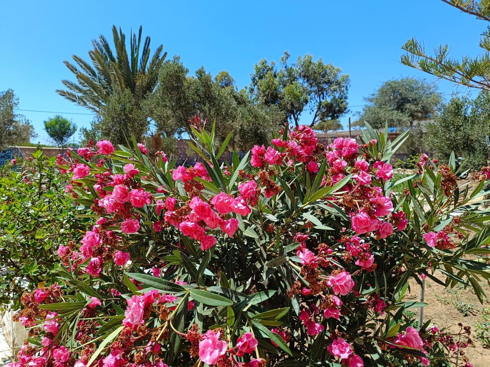 L'Abri Cotier De Dar Nezza Apartment Sidi Kaouki Luaran gambar