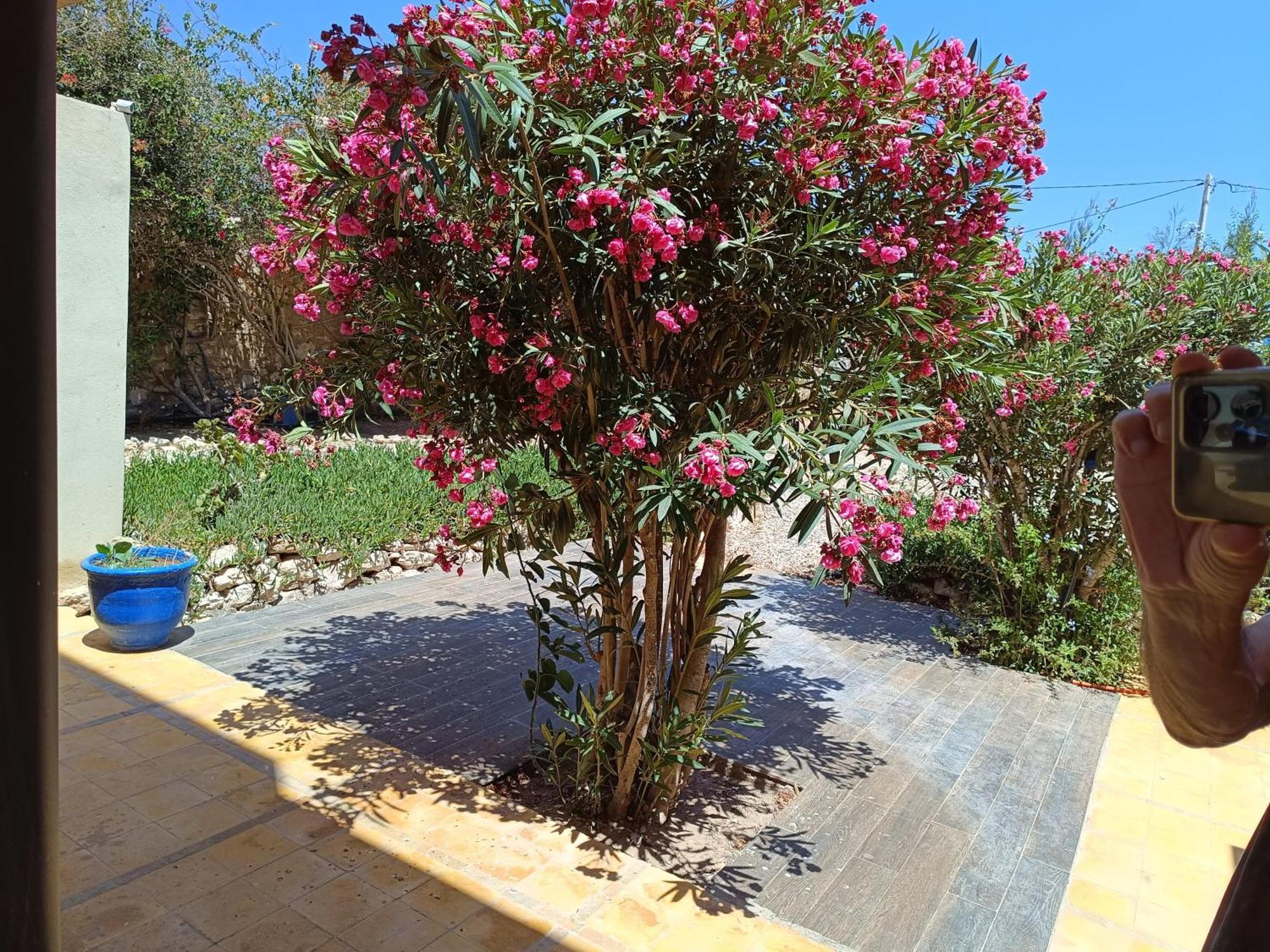 L'Abri Cotier De Dar Nezza Apartment Sidi Kaouki Luaran gambar